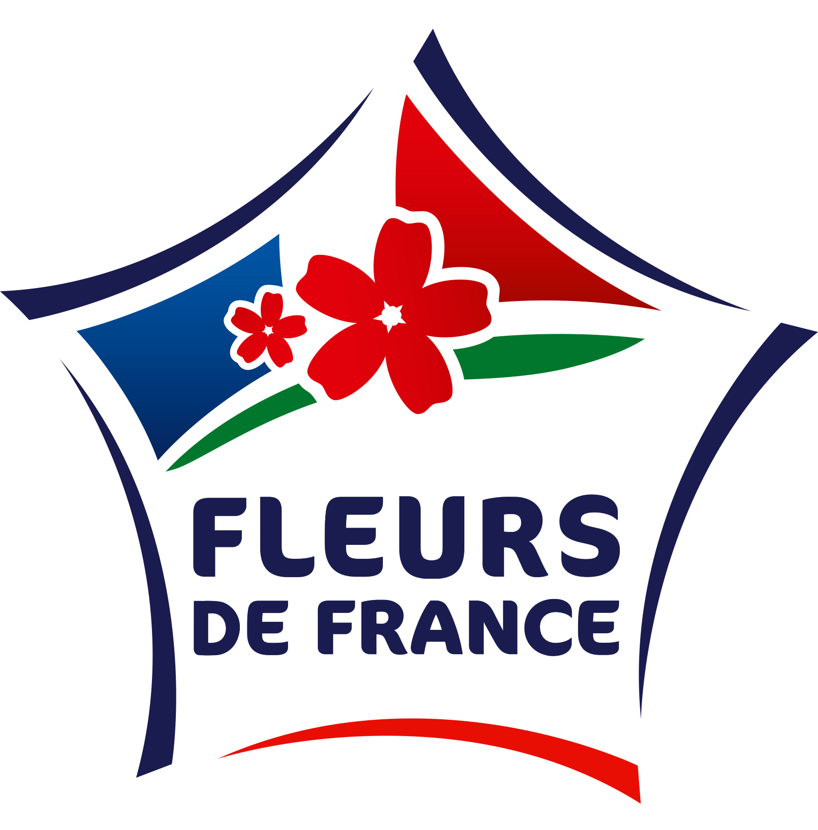 fleur de france